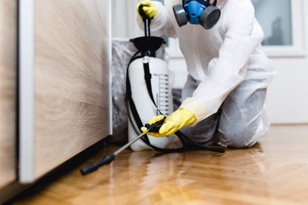 Best Exterminator Services  in Garden City, ID
