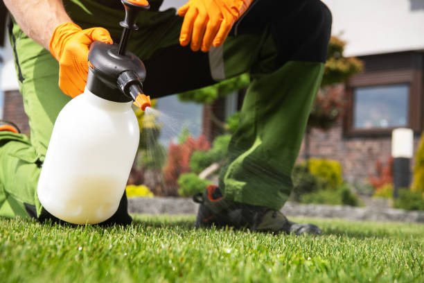 Best Pest Prevention Services  in Garden City, ID