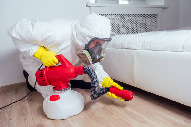 Pest Prevention Services in Garden City, ID