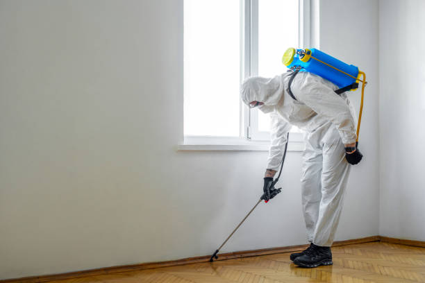Best Pest Prevention Services  in Garden City, ID