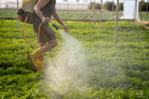 Trusted Garden City, ID Pest Control Experts