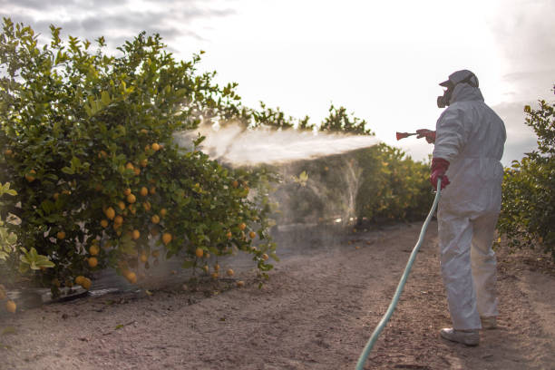 Best Flea Control Services  in Garden City, ID