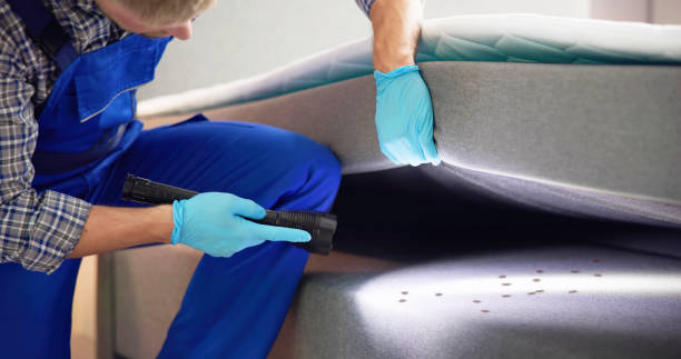 Best Affordable Pest Control Services  in Garden City, ID