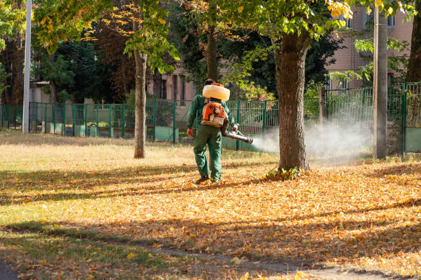 Best Affordable Pest Control Services  in Garden City, ID