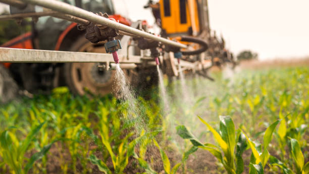 Wildlife Control Services in Garden City, ID